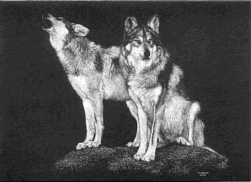 Christiane & Houdini - Mexican Wolves by Diane Versteeg